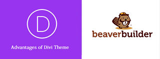 Beaverbuilder of Divi-builder