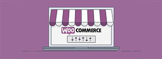 10 beste Woocommerce themes voor 2020