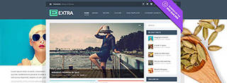 Beste Wordpress Nieuws theme