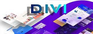 Beste Wordpress theme Divi review