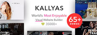 Kallyas theme review voor 2020