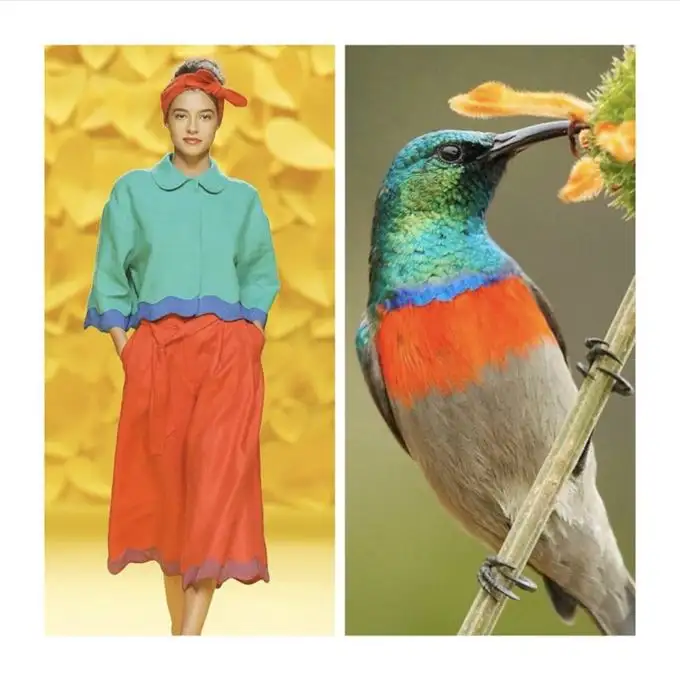 Grafisch design trends Natural inspirations Grafisch design trends Natural inspirations