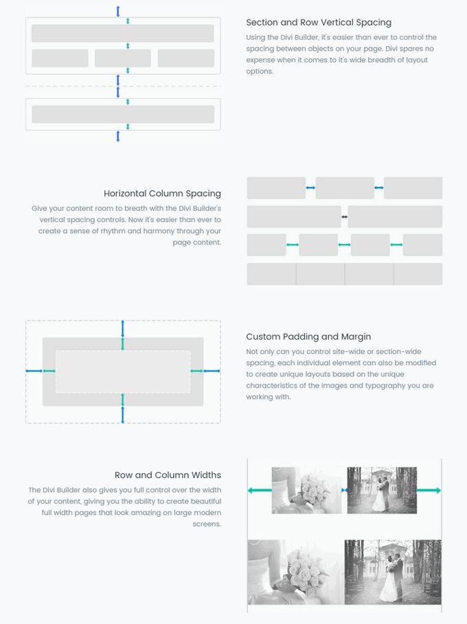 Divi Theme spatie opties Divi Builder spatie opties
