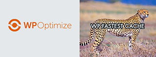 WP-Optimize vs WP Fastest Cache vergelijking